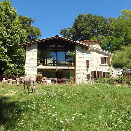 Les Favouilles - Gite & Chambres D Hotes Dauphin Exterior foto
